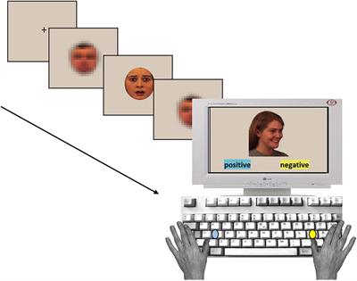 Degree and Complexity of Non-conscious Emotional Information Processing – A Review of Masked Priming Studies